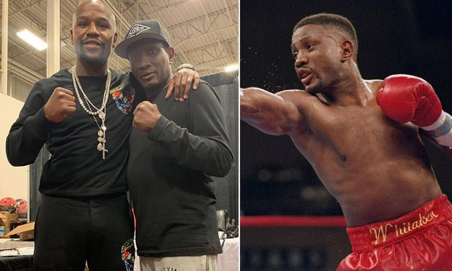 Pernell Whitaker Picture Wallpaper