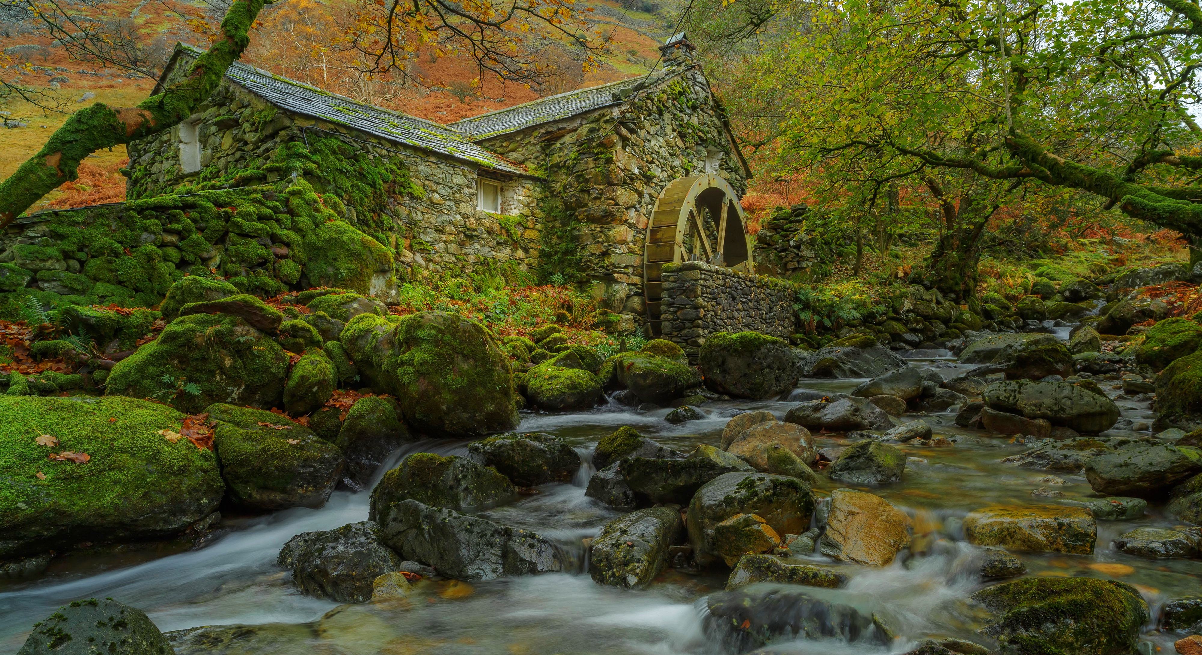 Water Mill In The Autumn Forest 4k Ultra HD Wallpaper Background