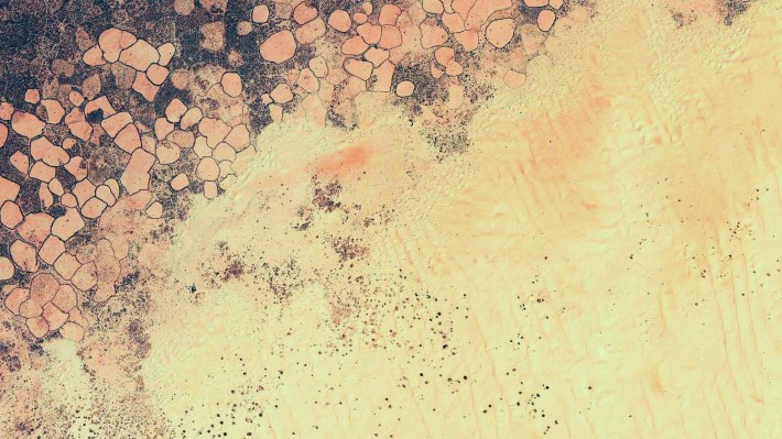Android M Wallpaper