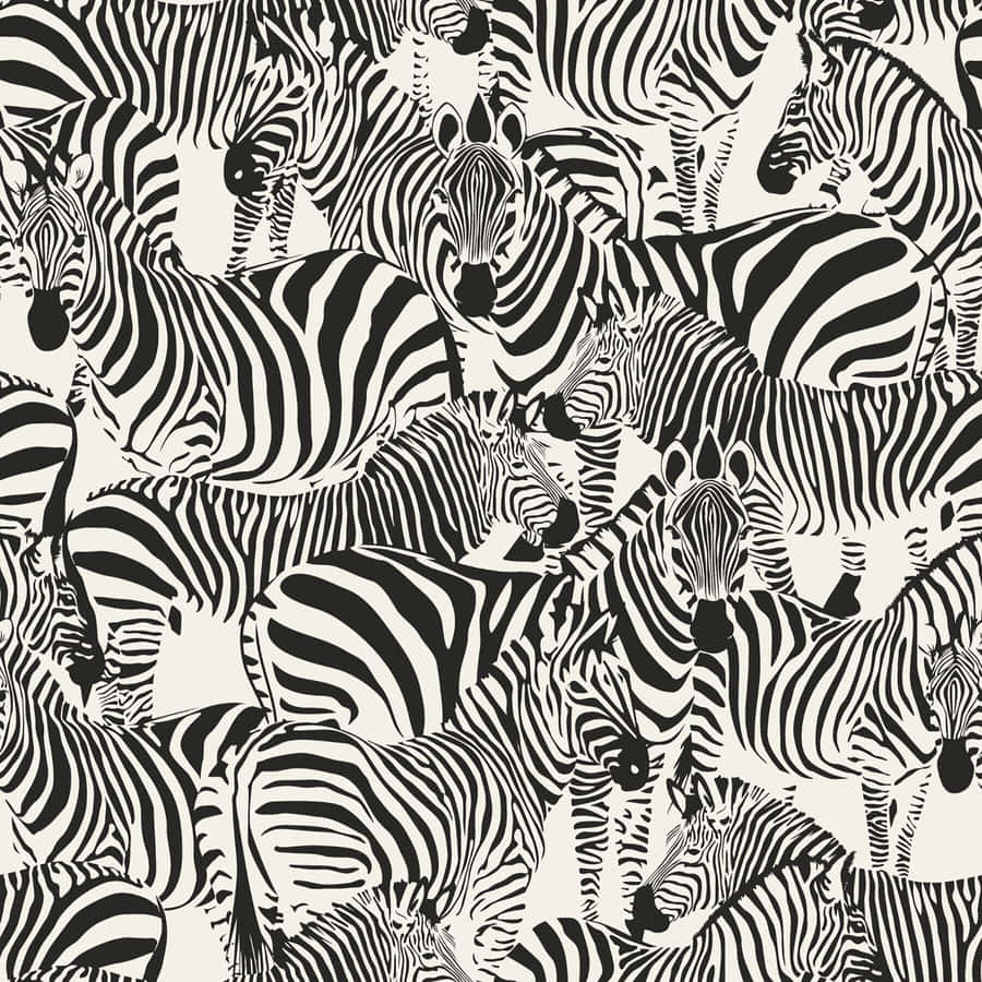 Black And White Animal Print Background 0zpaxx9jmcvp7l63 Wallpaper