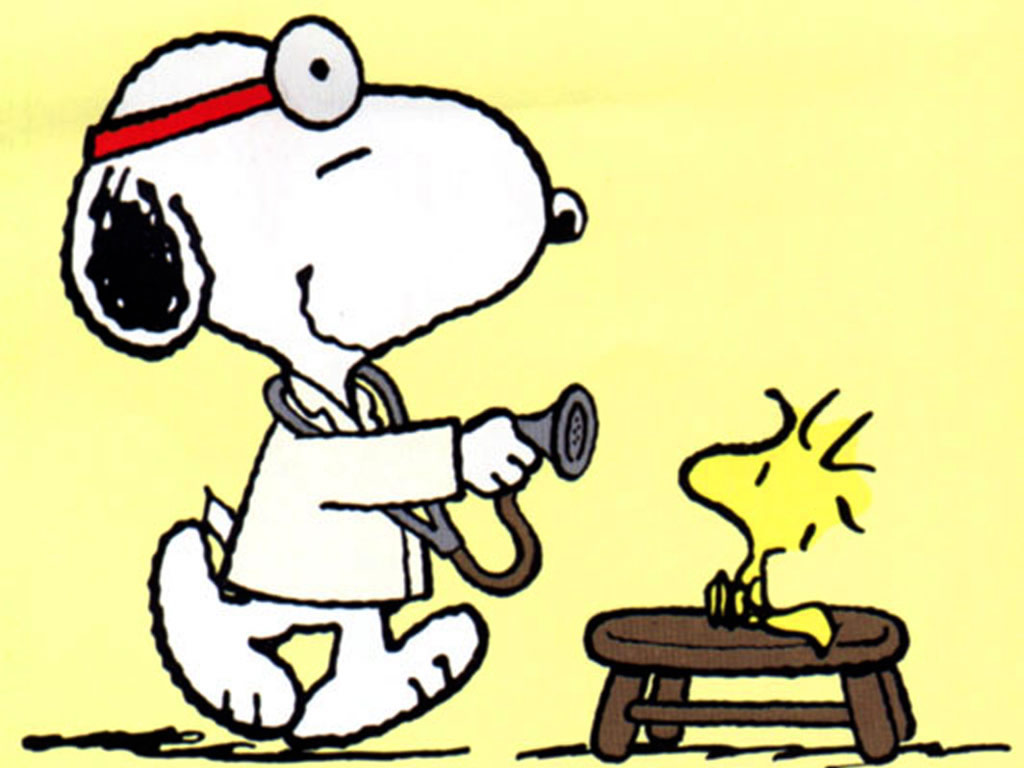 Quotes Snoopy And Woodstock