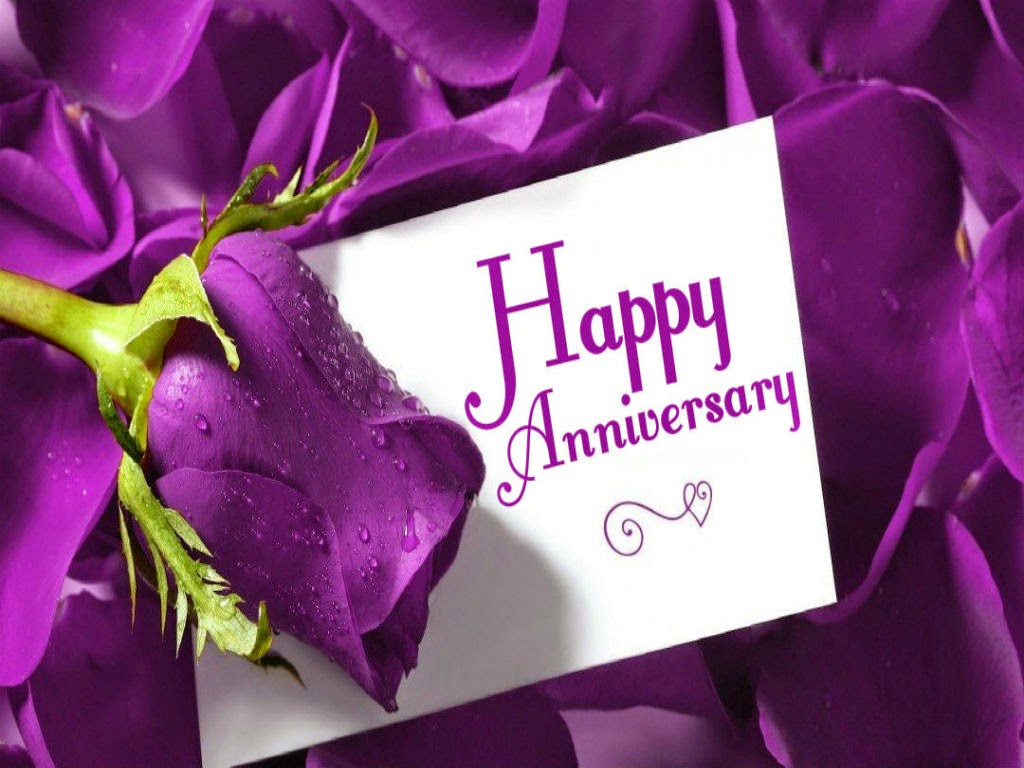 Marriage Anniversary Purpal Rose 1080p Image Festival Chaska