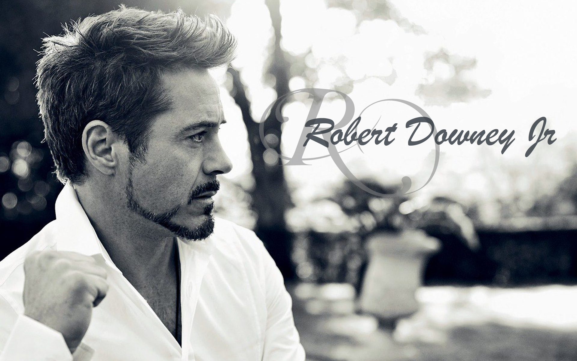 Best Robert Downey Jr Ultra HD 4k Wallpaper