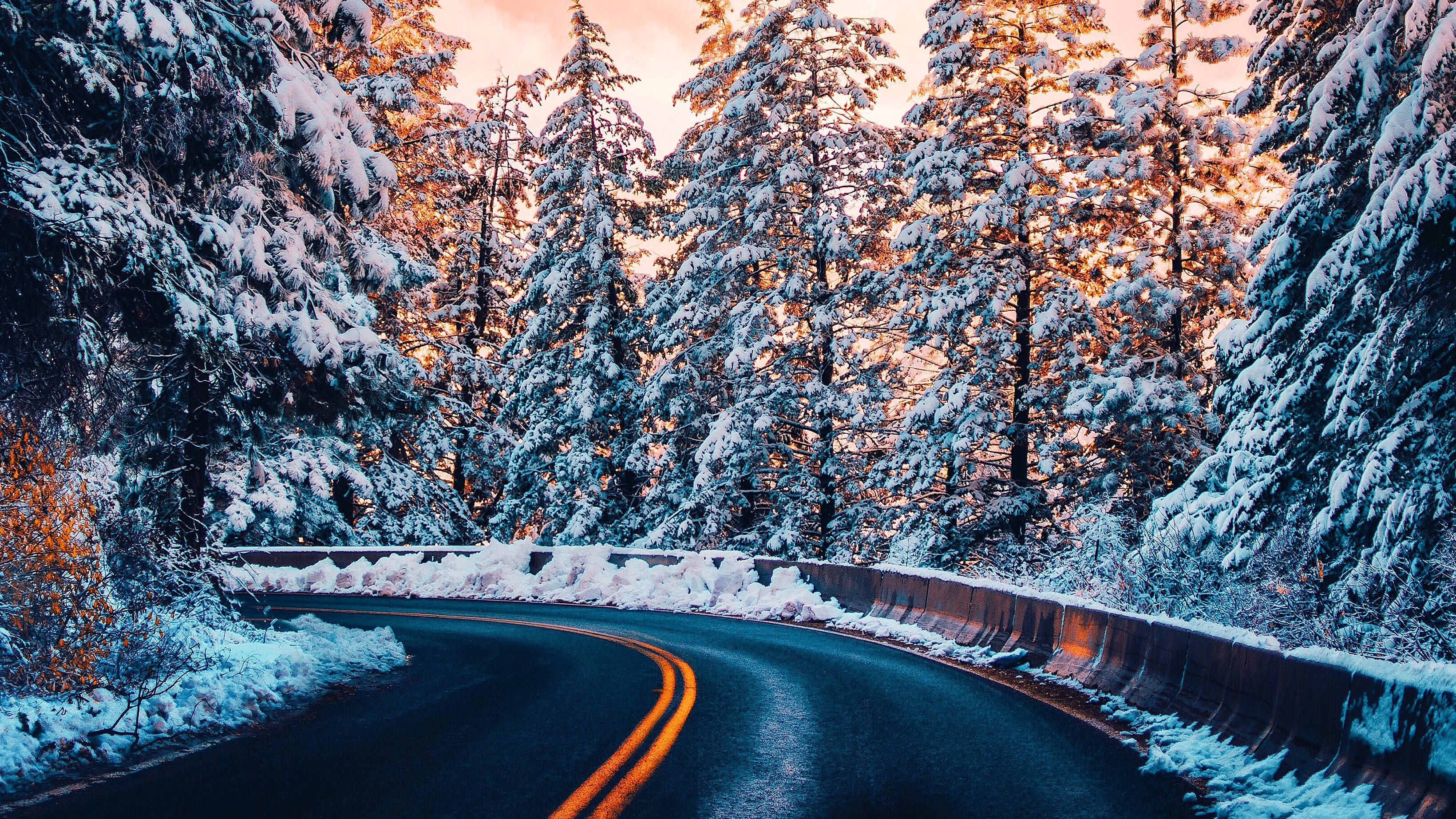 A scenic winter road winds through snow-covered pine trees at sunset, offering a stunning 4k wallpaper