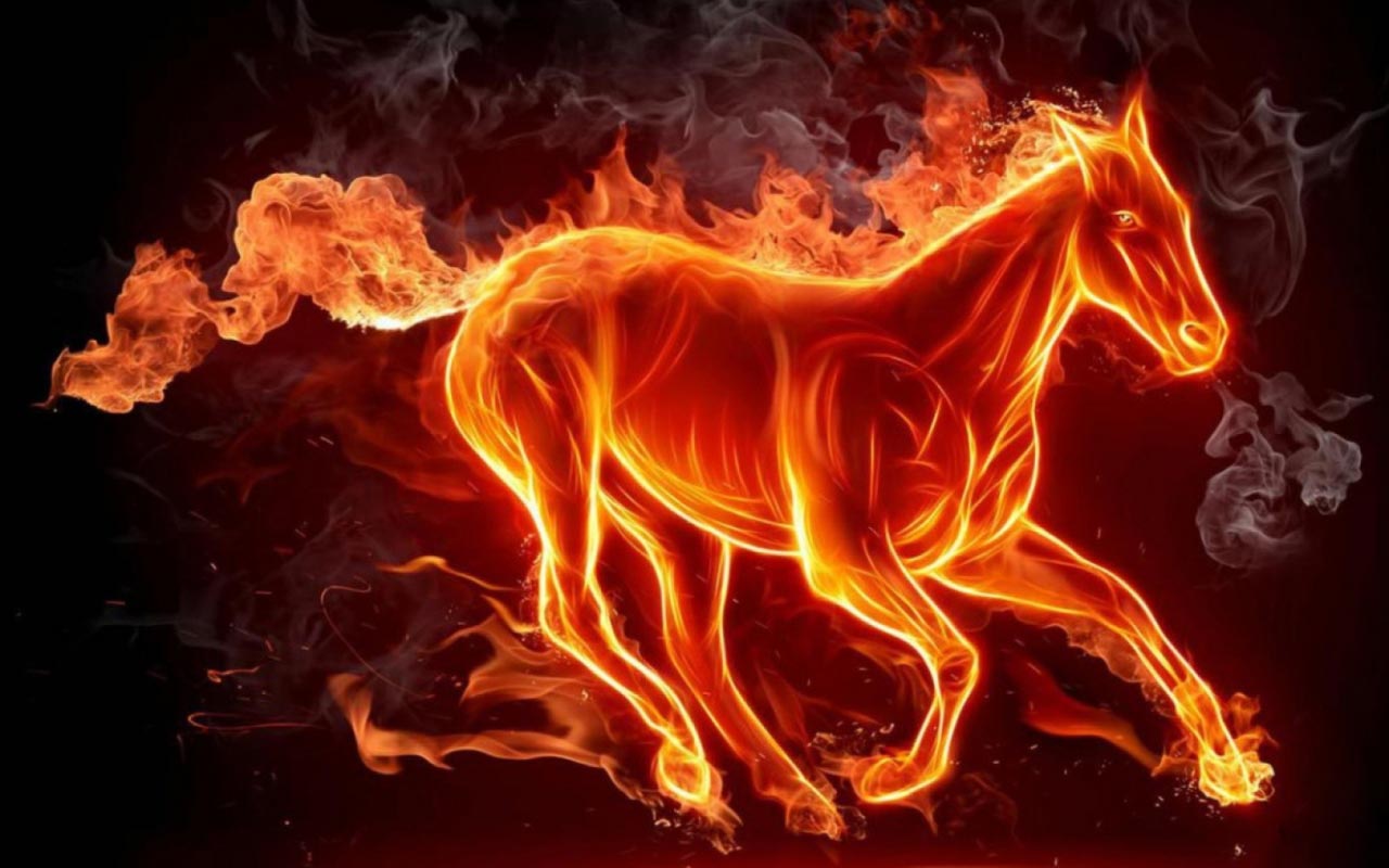 HD Wallpaper Animal Fire Horse Puter Background By