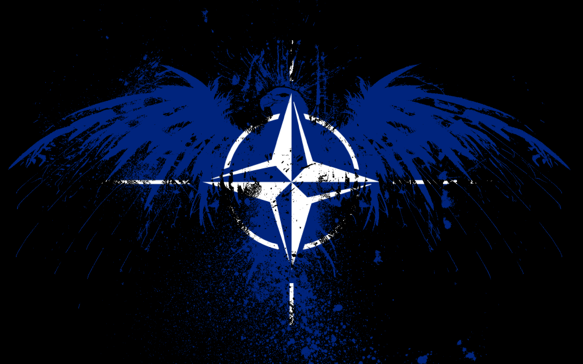 La Colmena Nato Auditor Investigating Terrorism Funding Found