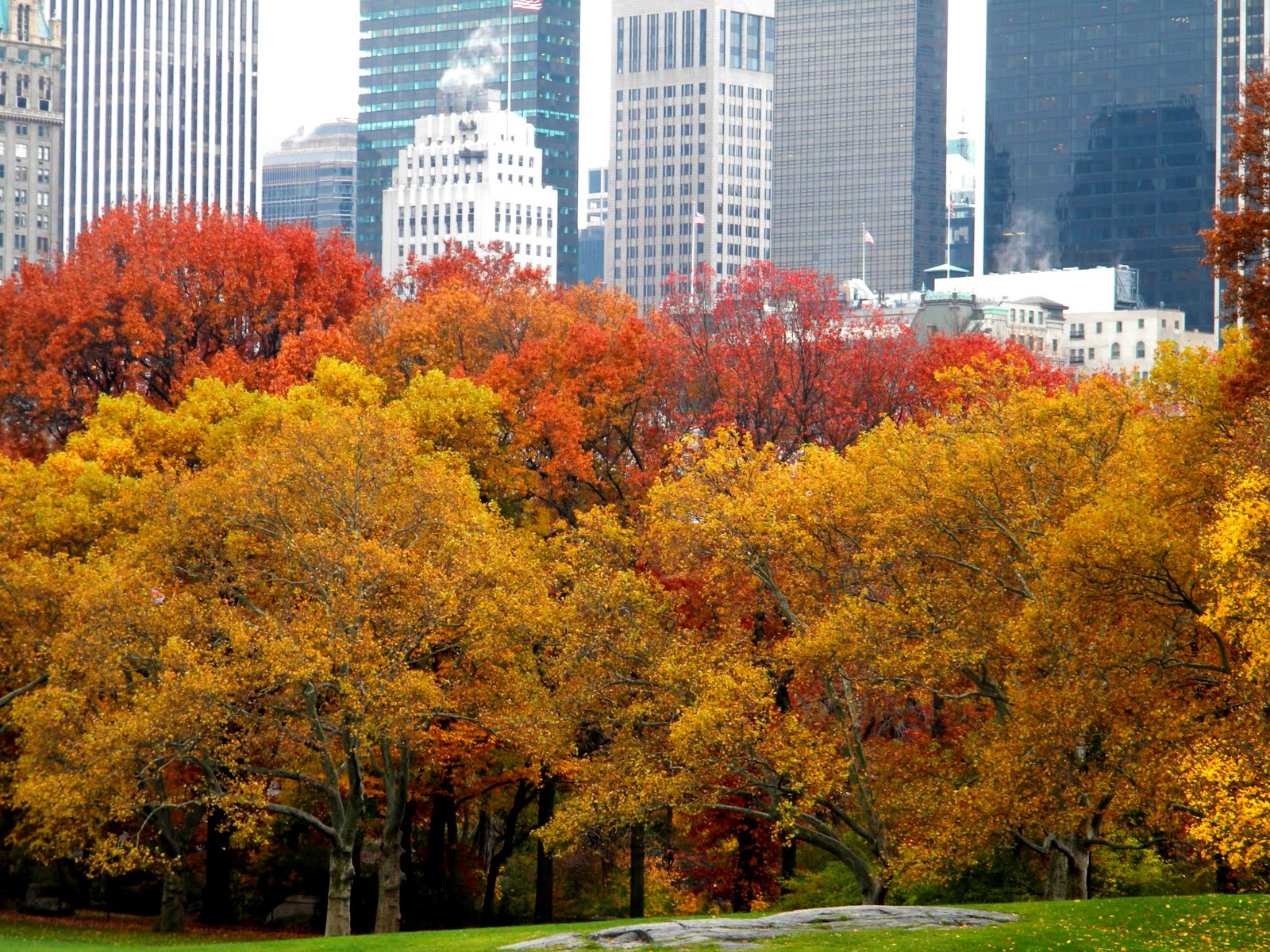 Clip Art Photos And Image Autumn Colors New York City Skyline