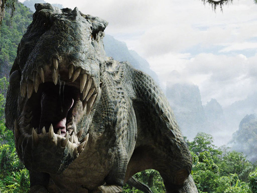 T Rex Wallpaper Animals Library