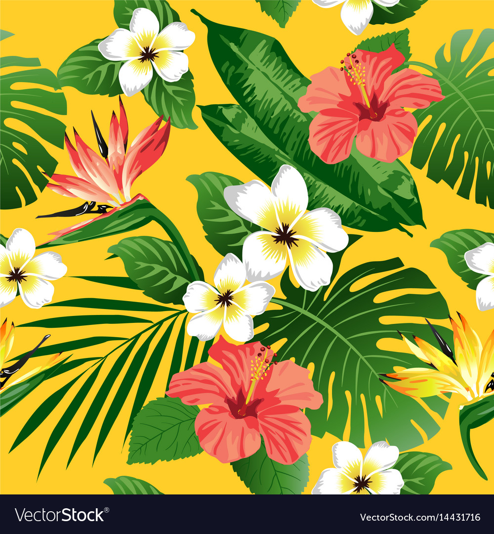 Tropical Flowers And Leaves On Yellow Background Vector Image