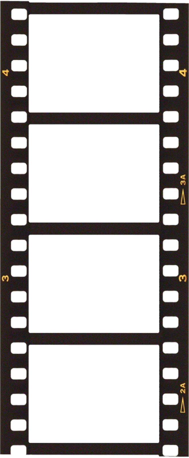 filmstrip nature photo with space strip filmstrip search stock stock