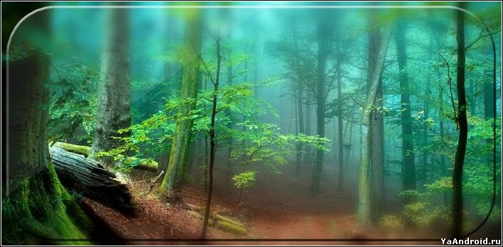 Forest Live Wallpaper 3d Android