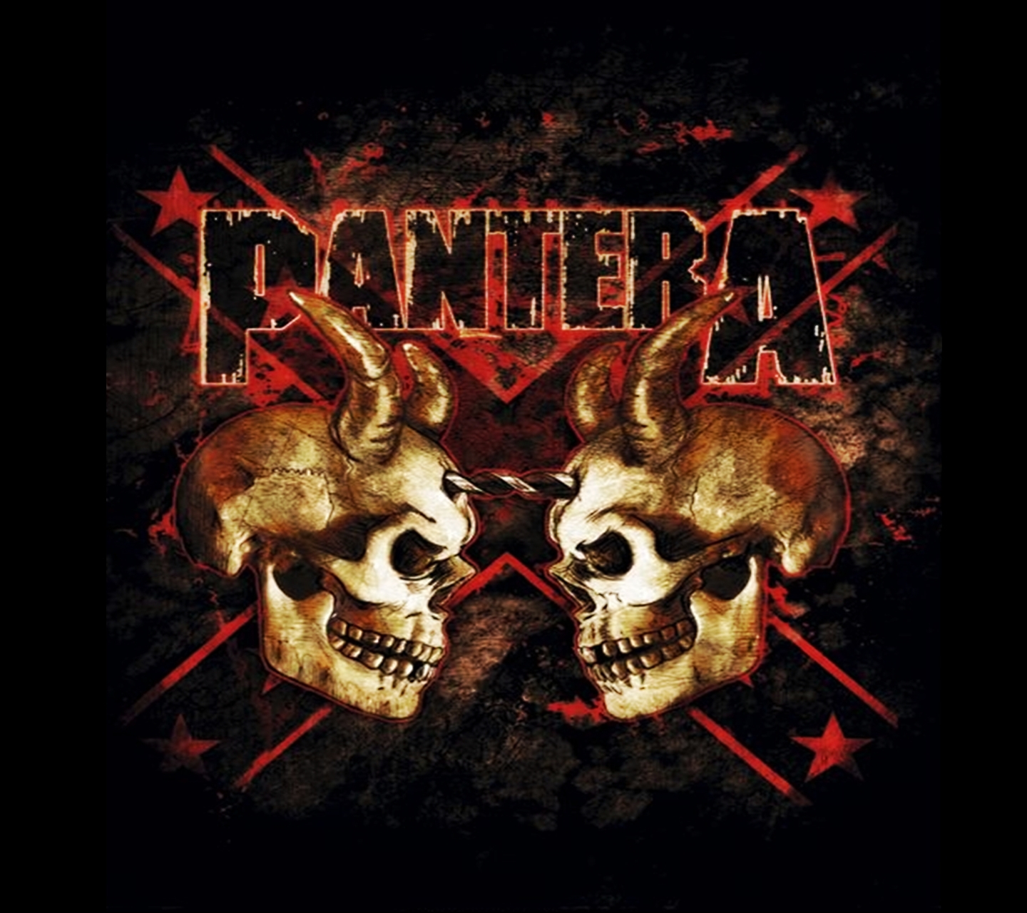 Pantera X Wallpaper Skulls Mobile9