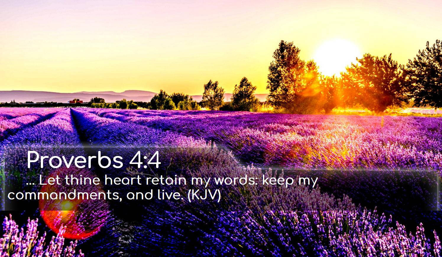 Bible Verse Aesthetic Wallpaper