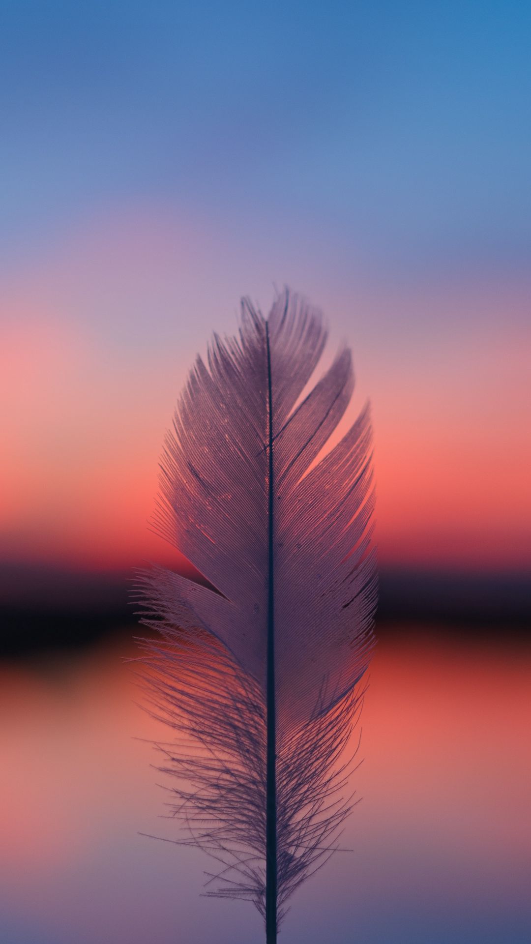 Wallpaper Feather Blur Sunset Horizon