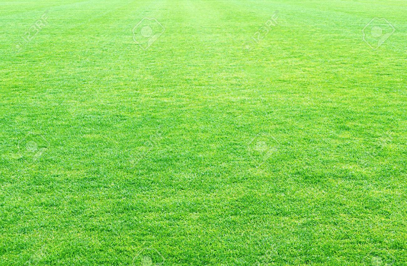 Fresh Spring Green Grass Texture Or Background Stock