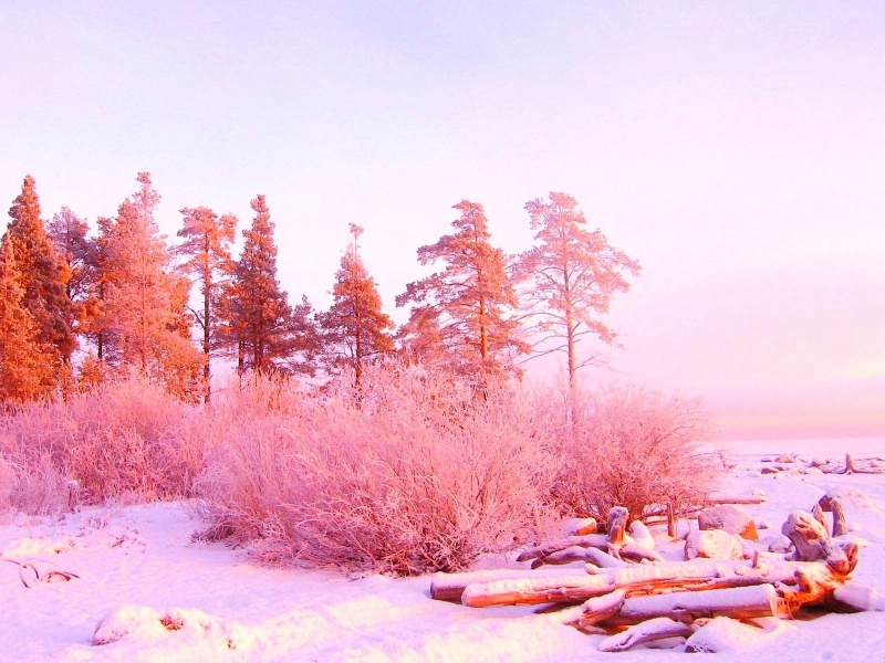 800 x 600 Winter Wallpaper - WallpaperSafari