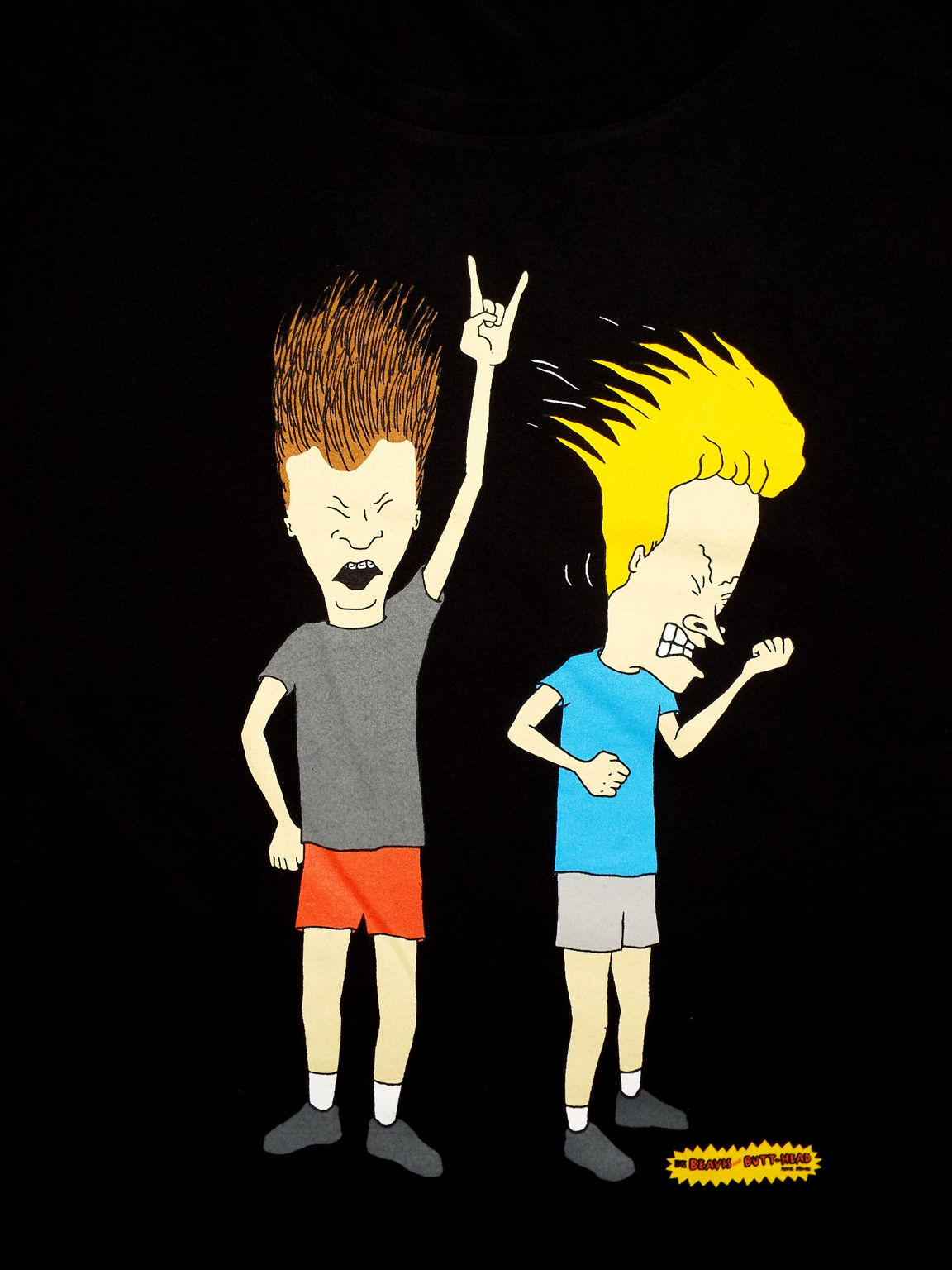 Beavis And Butt Head Cartoon Wallpaper Image In Collection