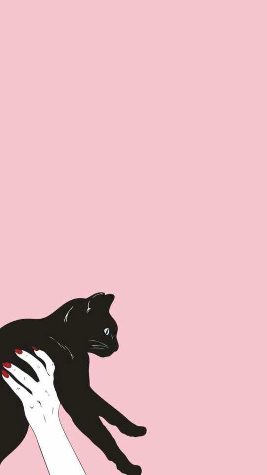 Salem Wallpaper In iPhone Cat