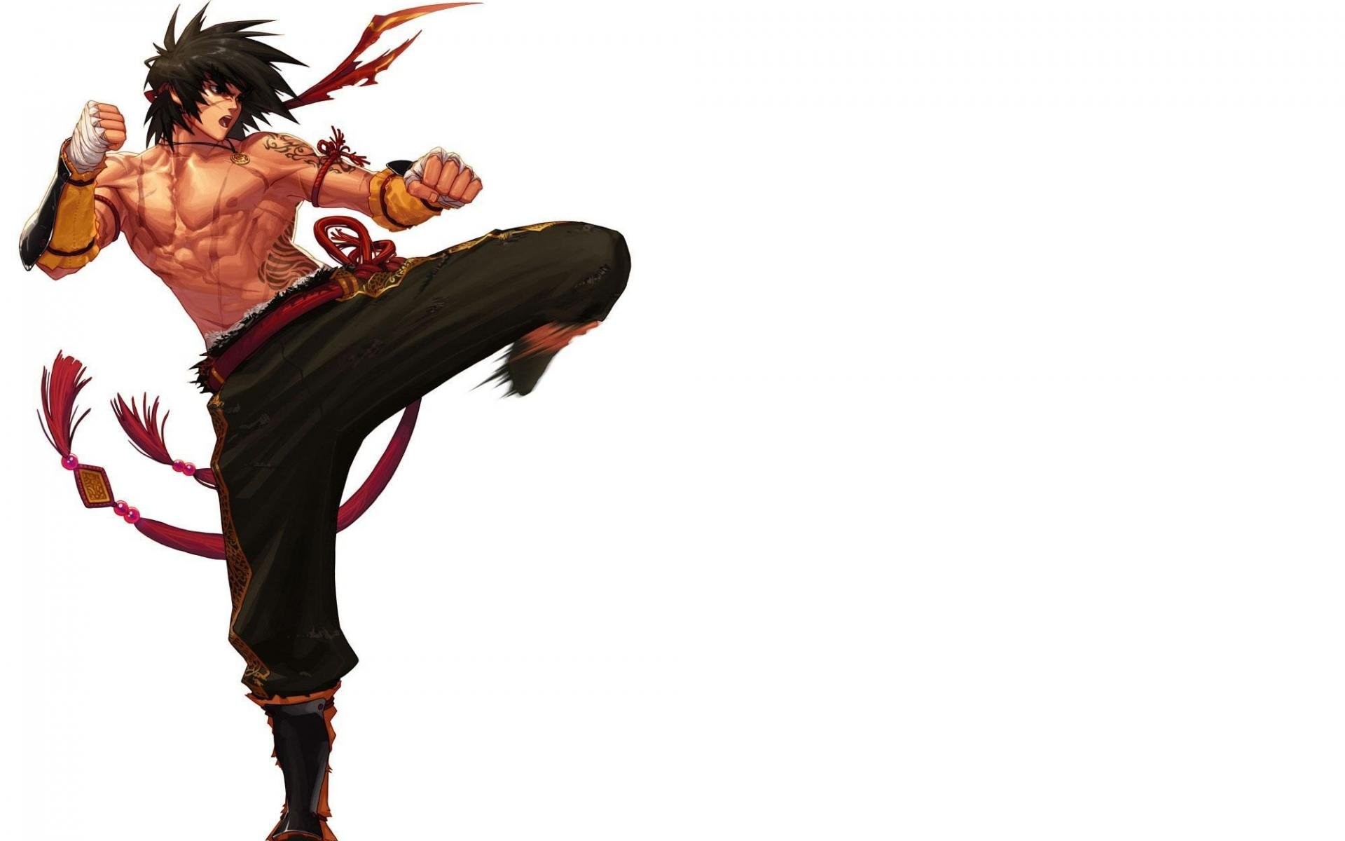Anime Fighting Wallpaper