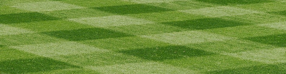 baseball grass high resolution