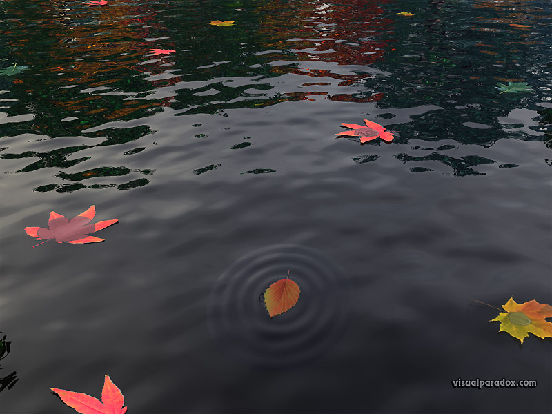 Colors Calm Water Ripples Meaning Autumn Nature 3d Wallpaper