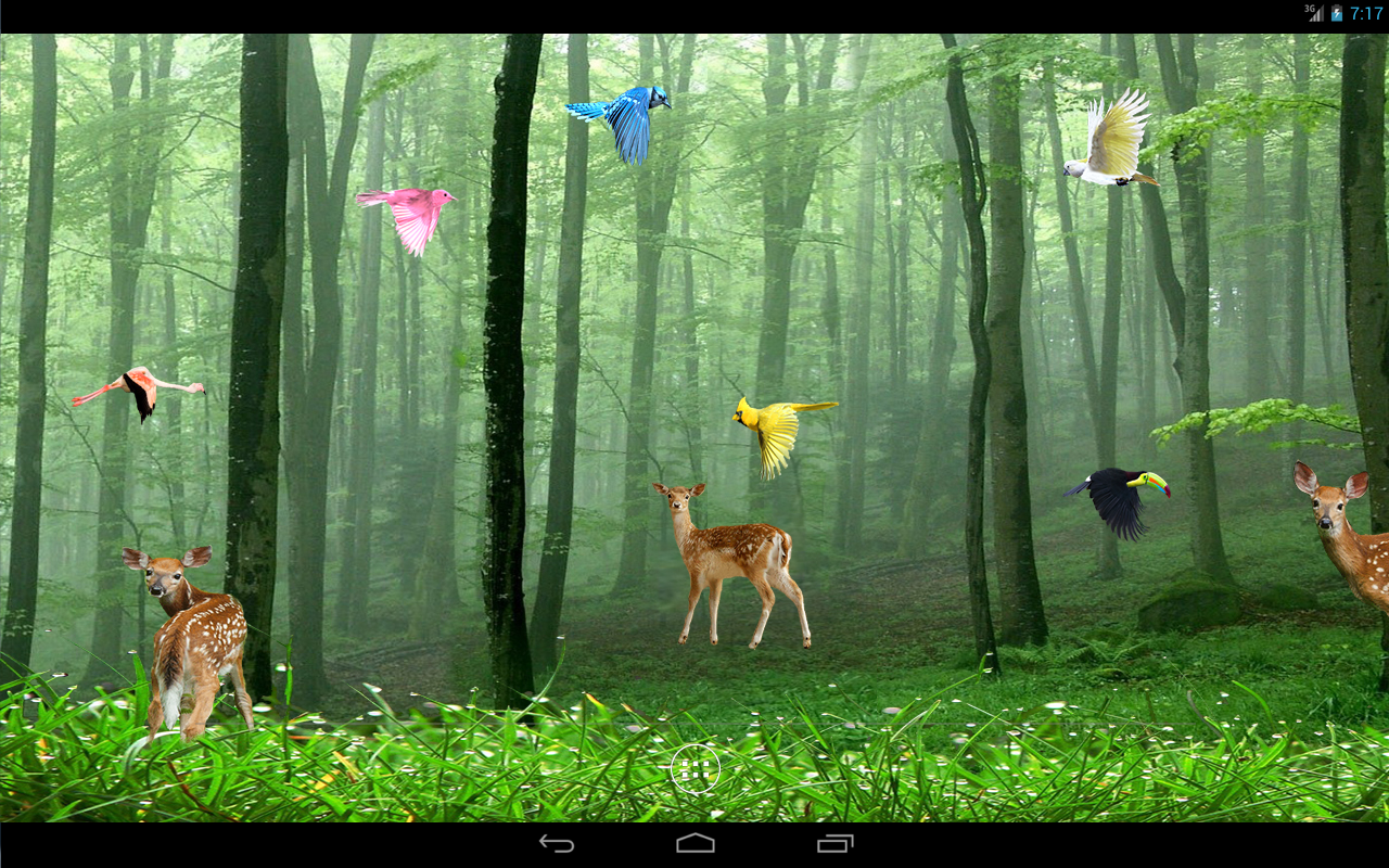 Rain Forest Live Wallpaper Apps Para Android No Google Play
