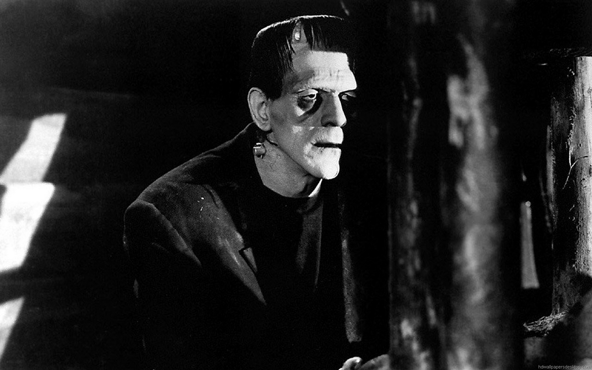 Frankenstein Wallpaper Classic Movie Photo