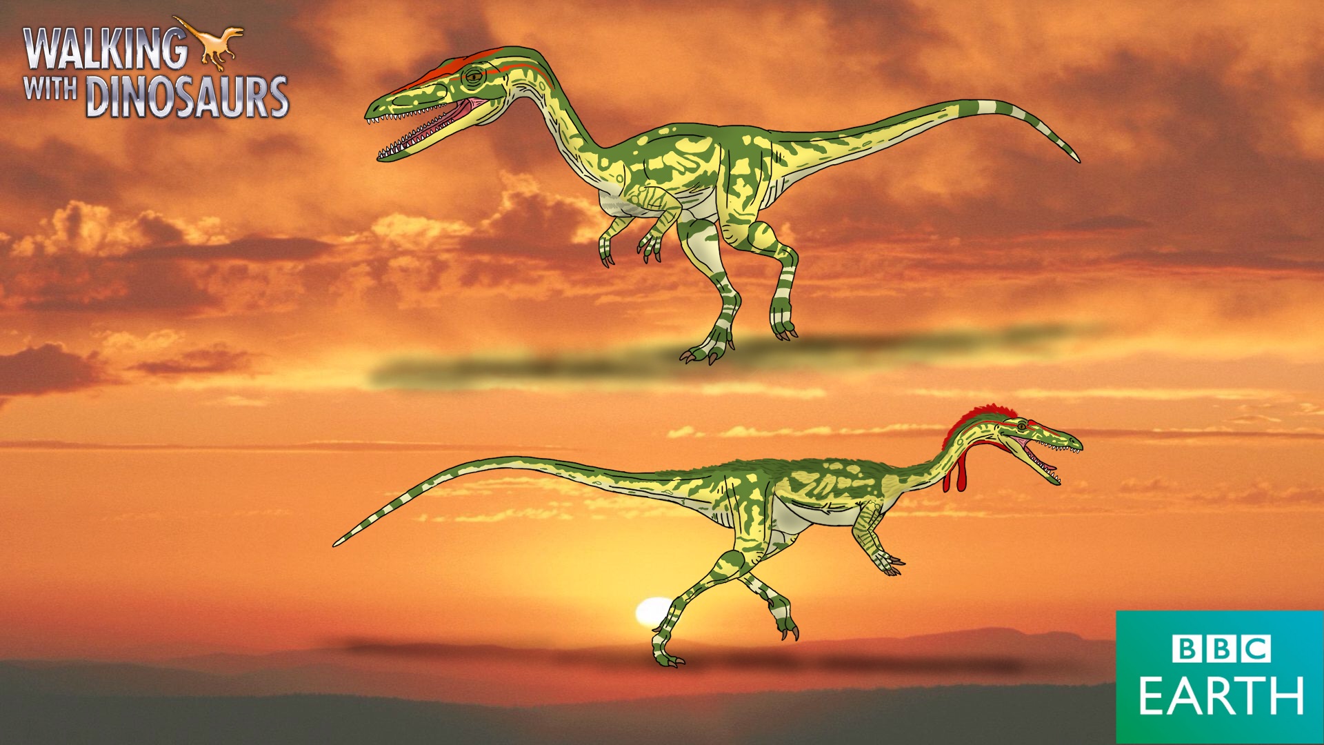 Walking With Dinosaurs Coelophysis By Trefrex