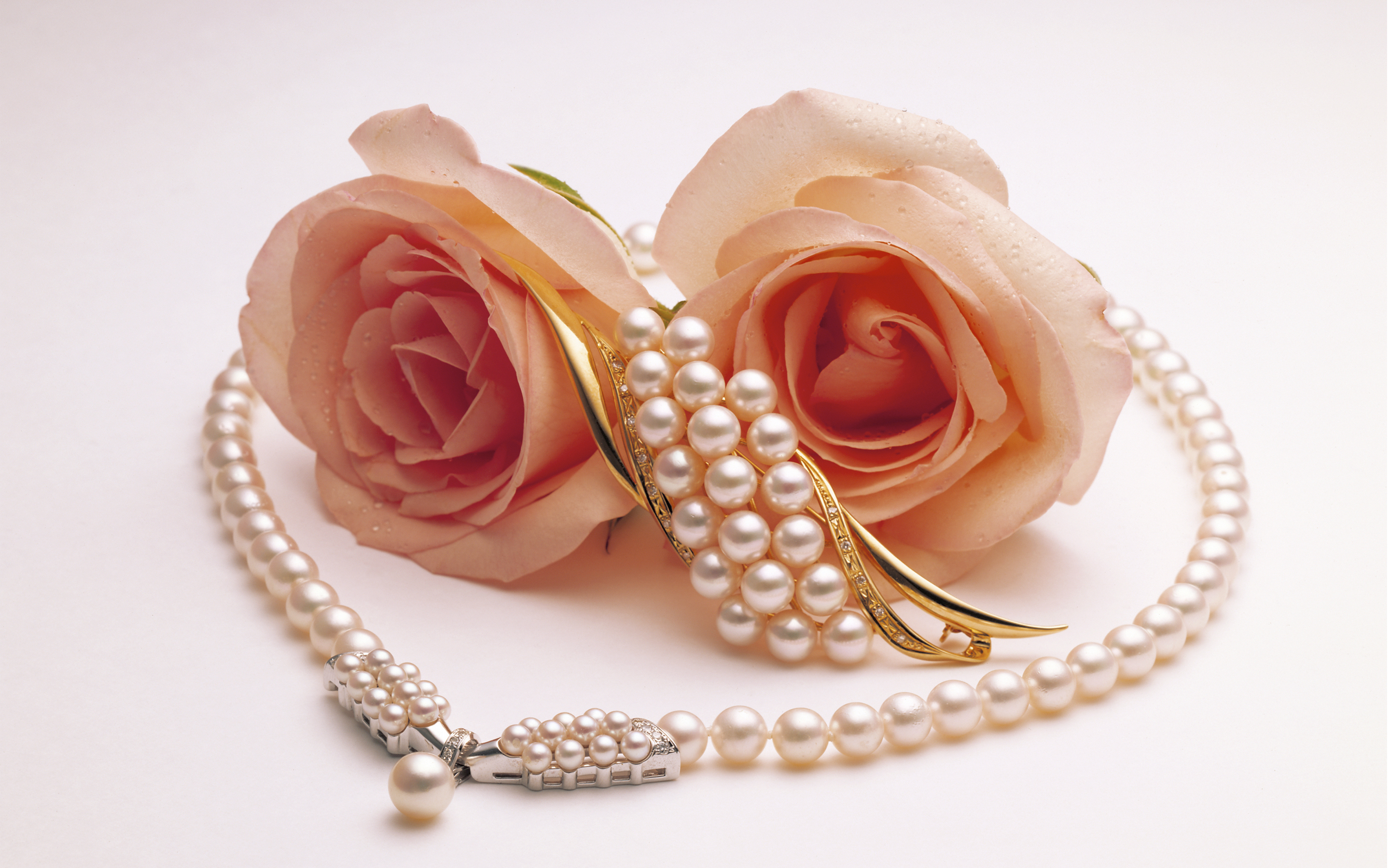 Wallpaper two roses pearls brooches wallpapers flowers   download