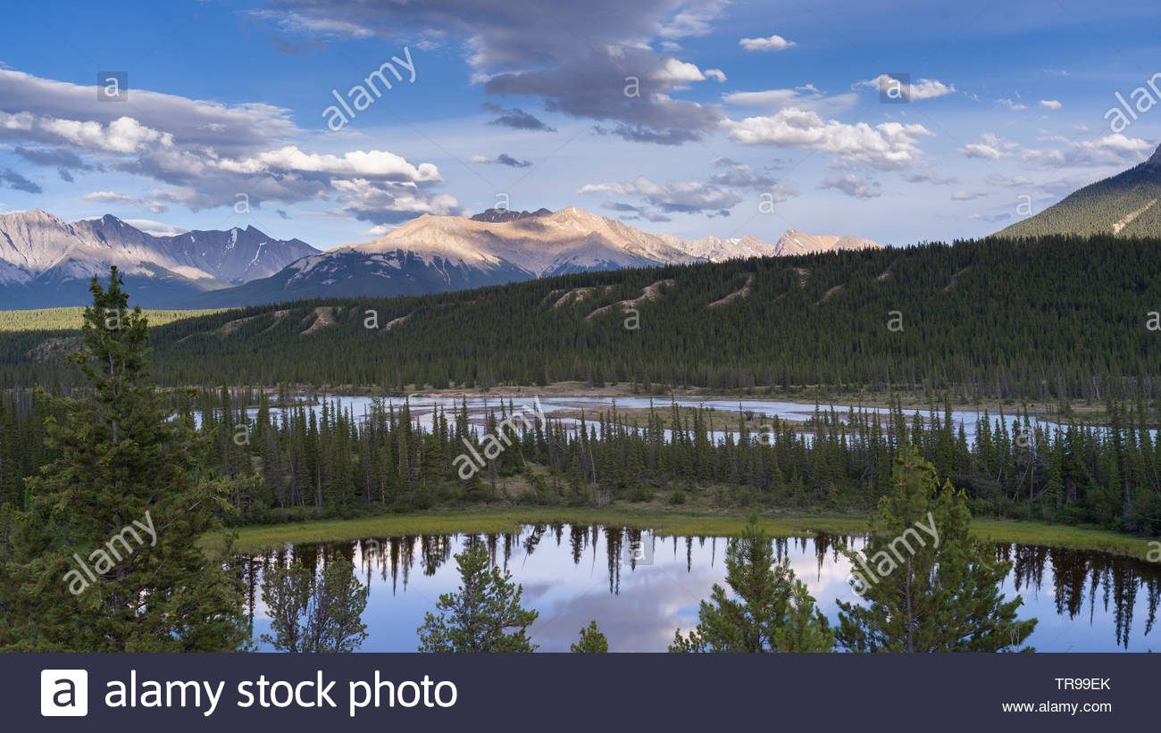 North Saskatchewan River With Mountains In The Background David