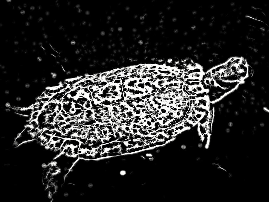 Glowing White Turtle Against Black Background Digital Art By Jill