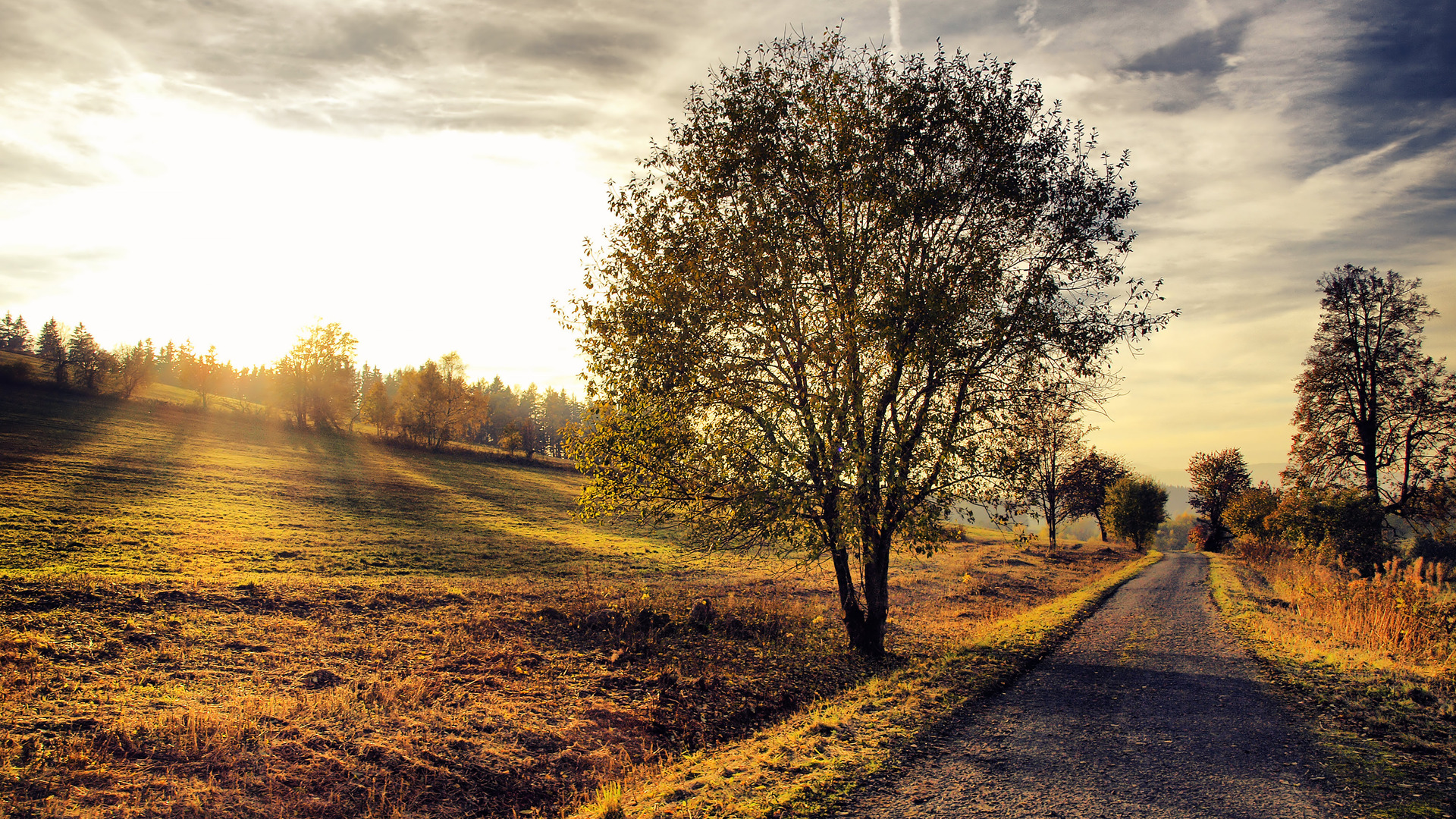 Beautiful Country Road Wallpaper