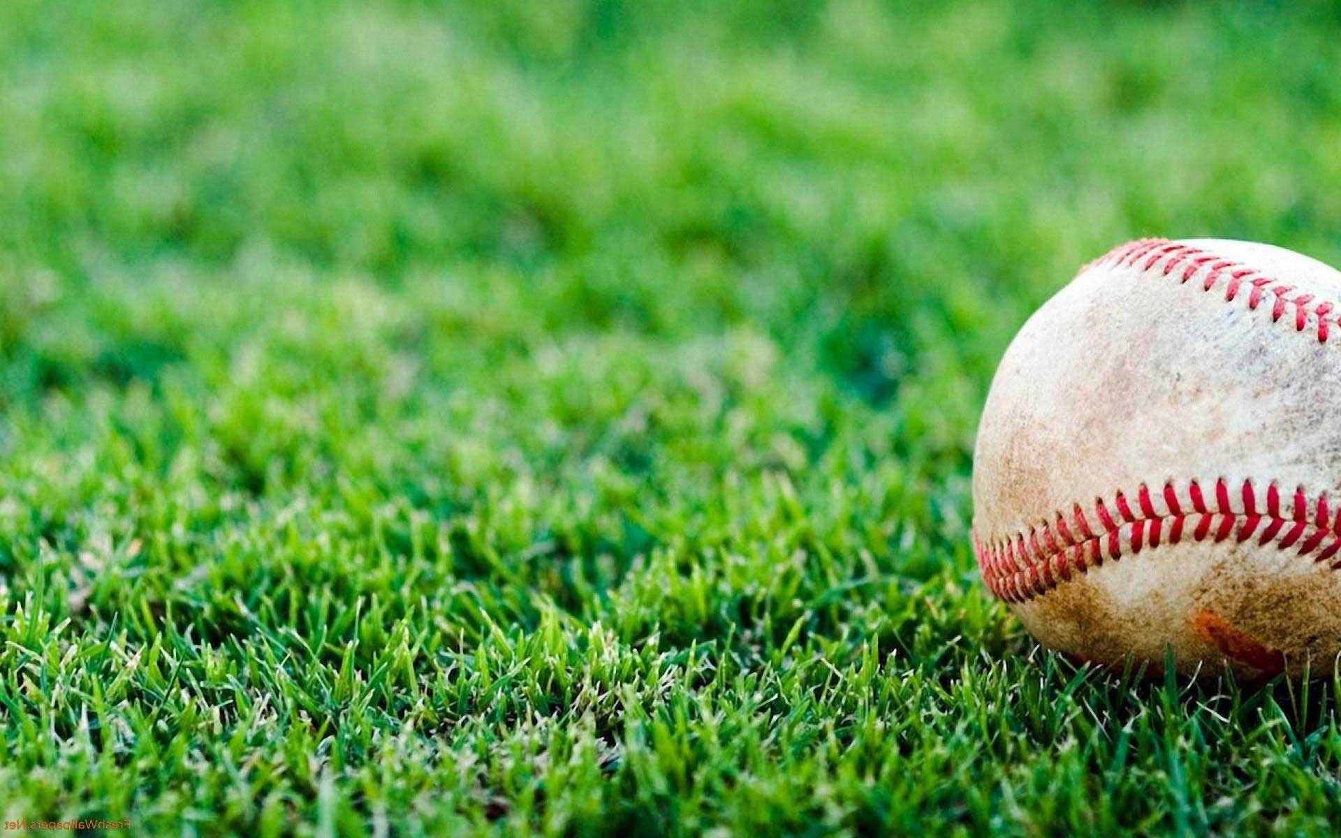 A close-up of a worn baseball resting on lush green grass, evoking the spirit of America's pastime