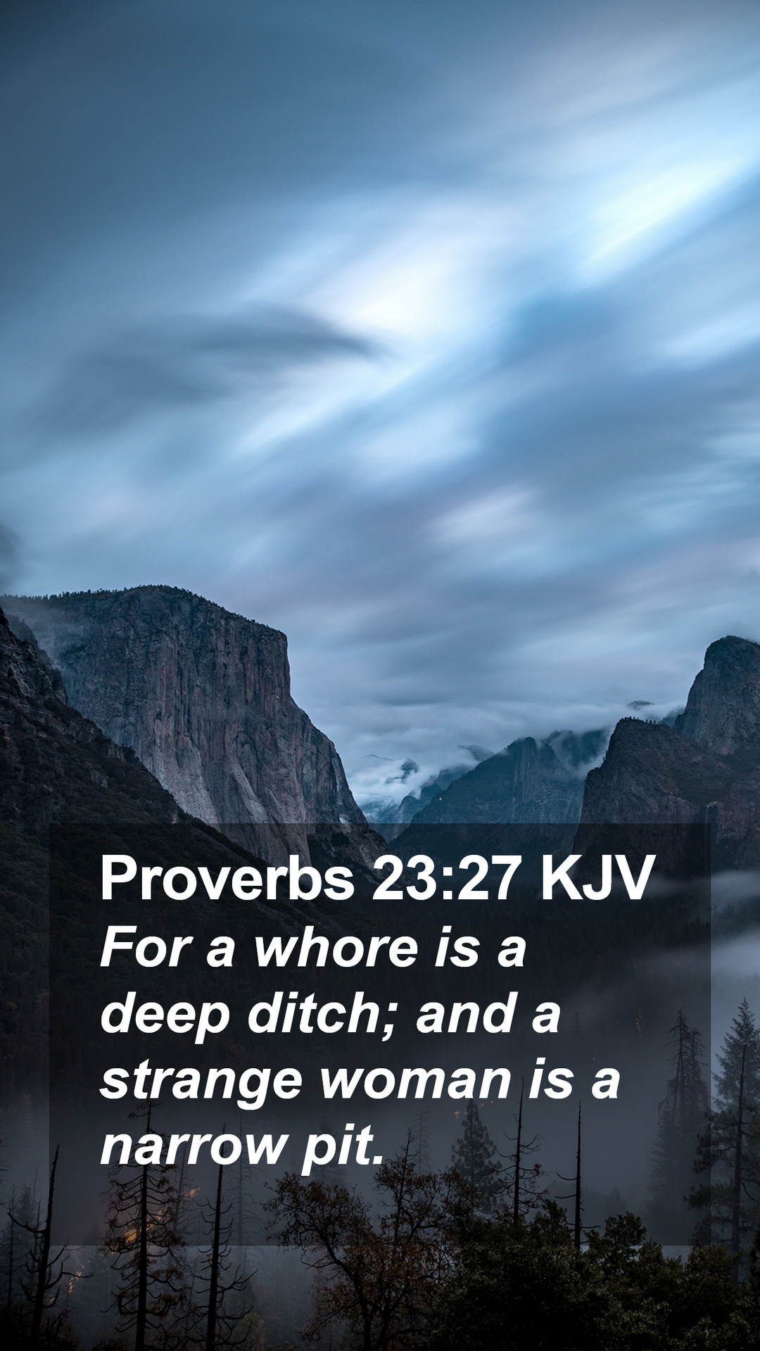 Proverbs Kjv Mobile Phone Wallpaper For A Whore Is Deep