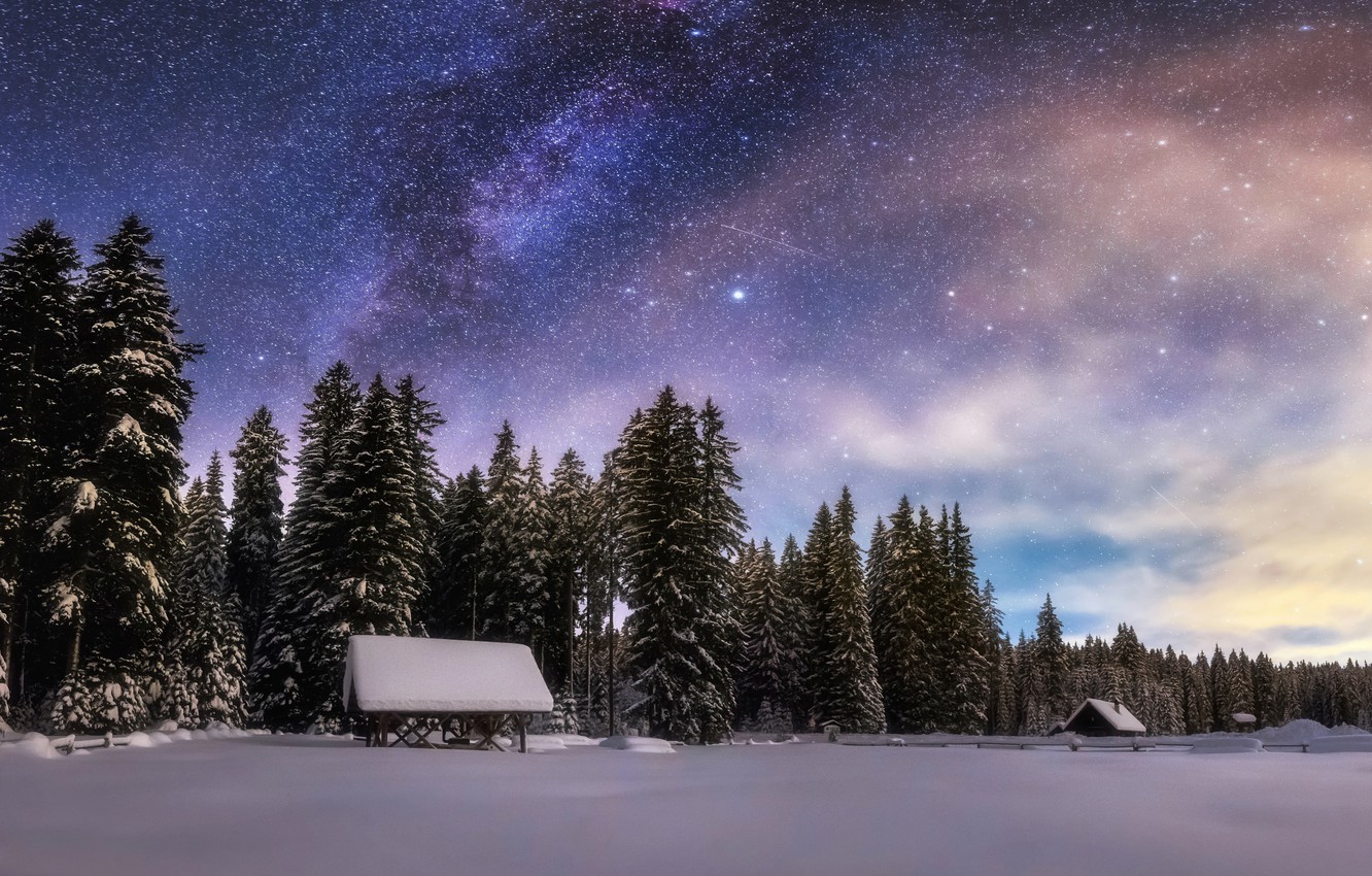 Wallpaper Winter Forest The Sky Stars Snow Night Image For