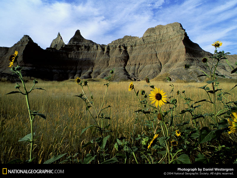  of the Day Picture Photography Wallpapers   National Geographic