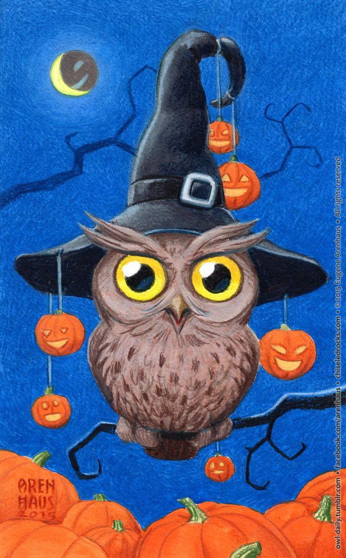 Halloween Owl Wallpaper By Artist Unknown In