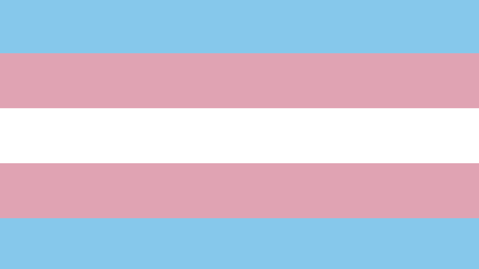 Transgender Pride Flag Flies At Boston City Hall Human