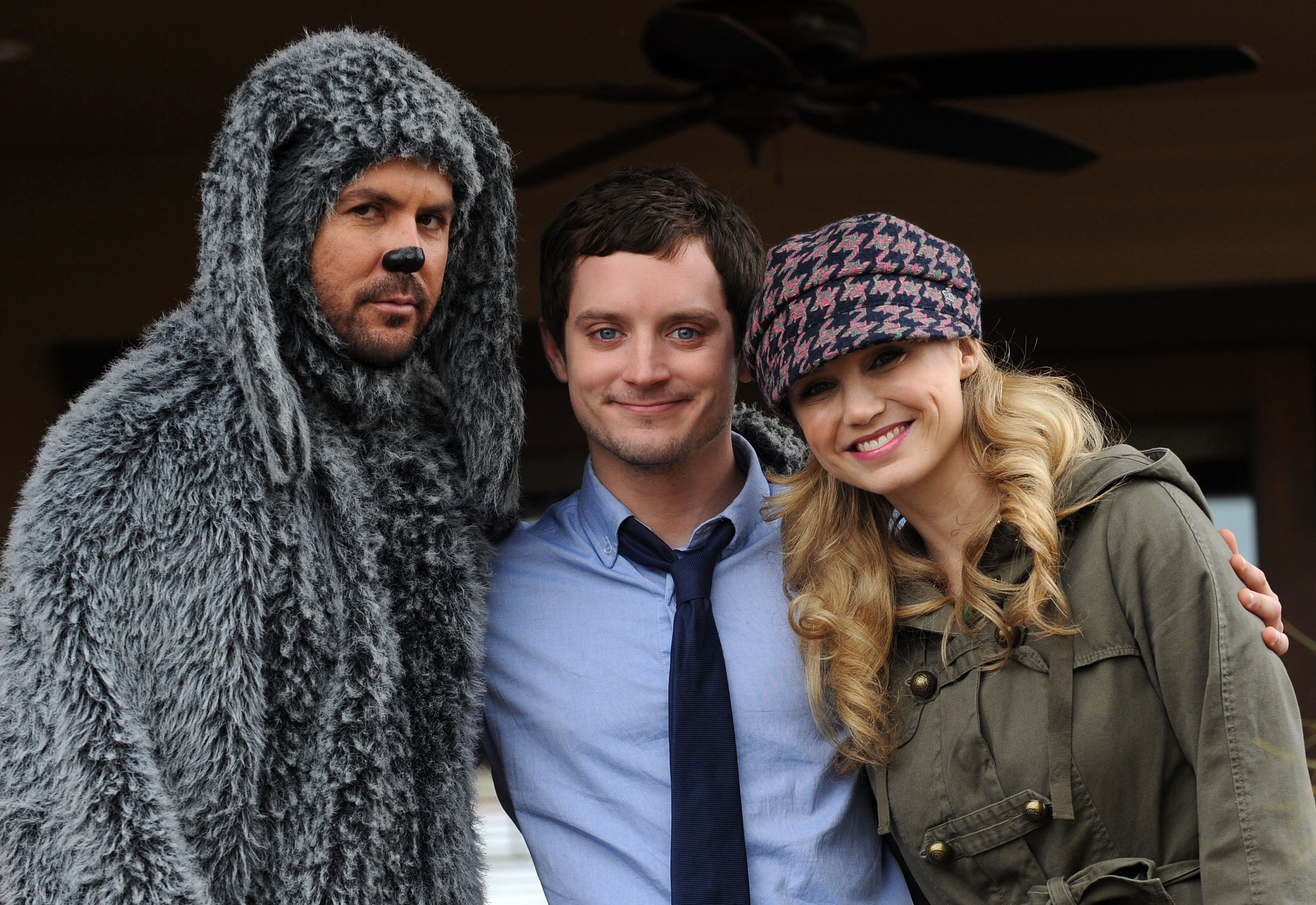 Wilfred HD Wallpaper Background Image Id