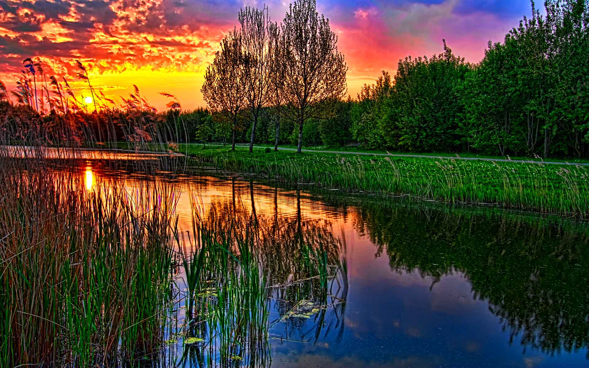 HDr HD Wallpaper Background Image Id