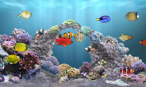 Anipet Marine Aquarium HD V1 Androidvip