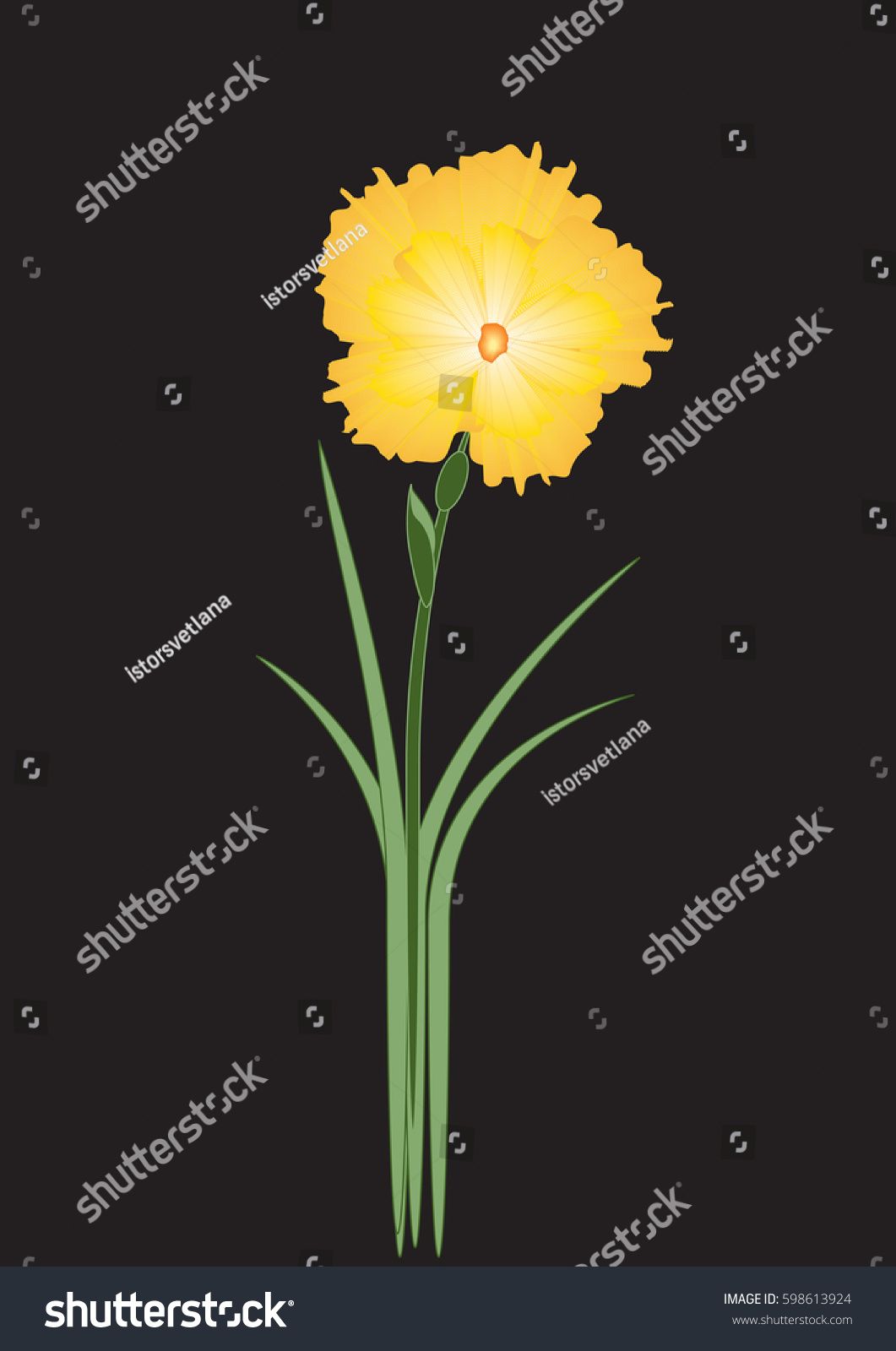 Narcissus Bright Yellow On A Black Background Art Abstract