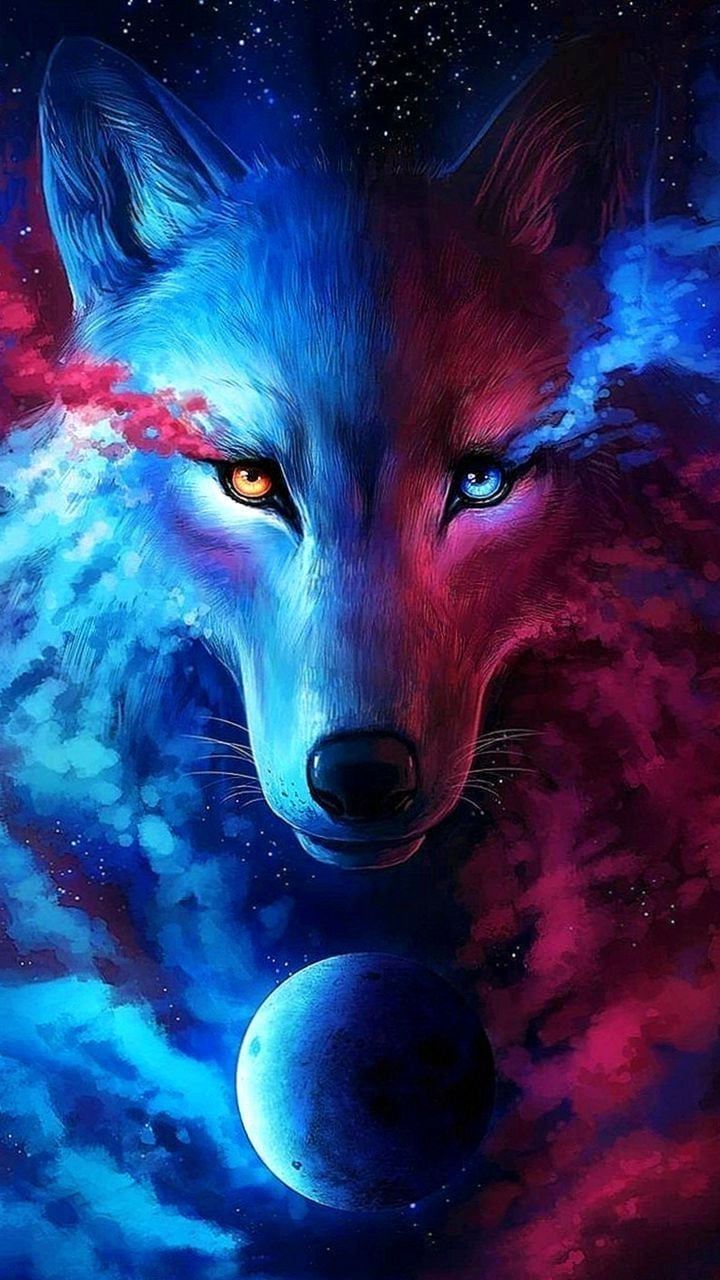 blue fox logo wallpaper