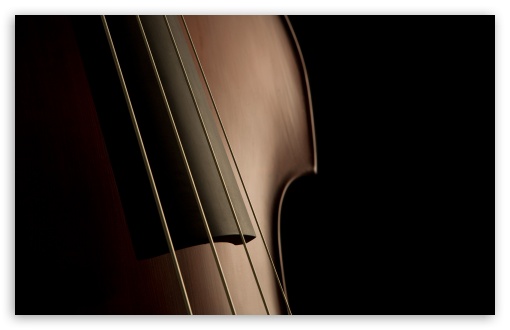Double Bass Strings 4k HD Desktop Wallpaper For Ultra