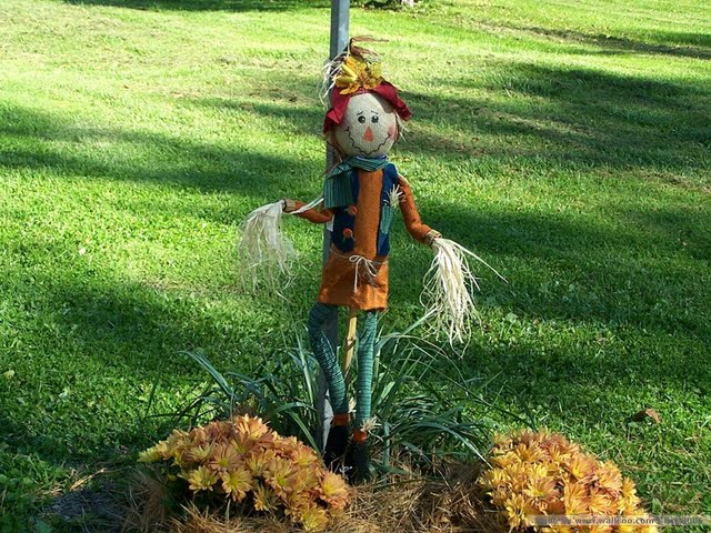 Autumn Display Scarecrow Pumpkins Wallpaper