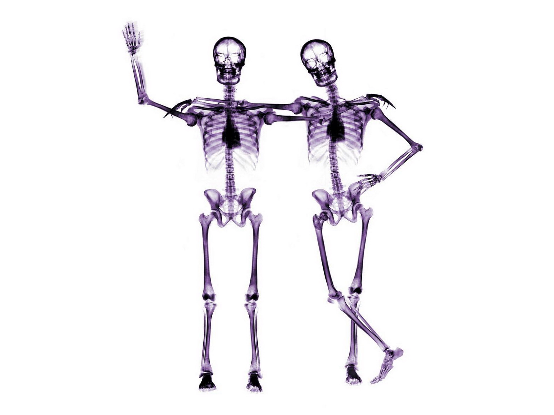 Dark Skeleton HD Wallpaper