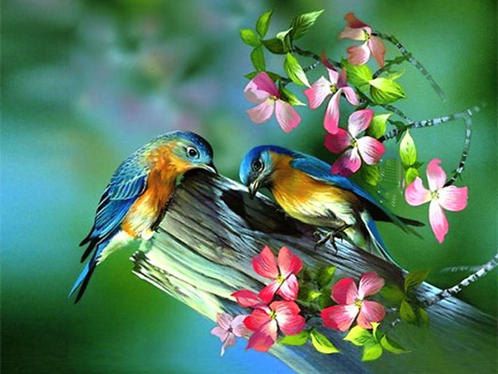 Painting Of Birds In Spring Pictures Photos and Images for