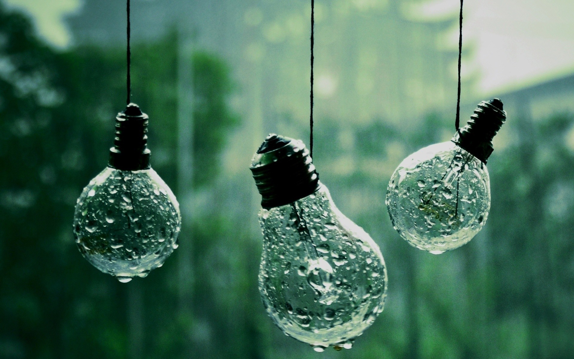 Three rain-soaked lightbulbs hanging outdoors, creating a serene and atmospheric wallpaper