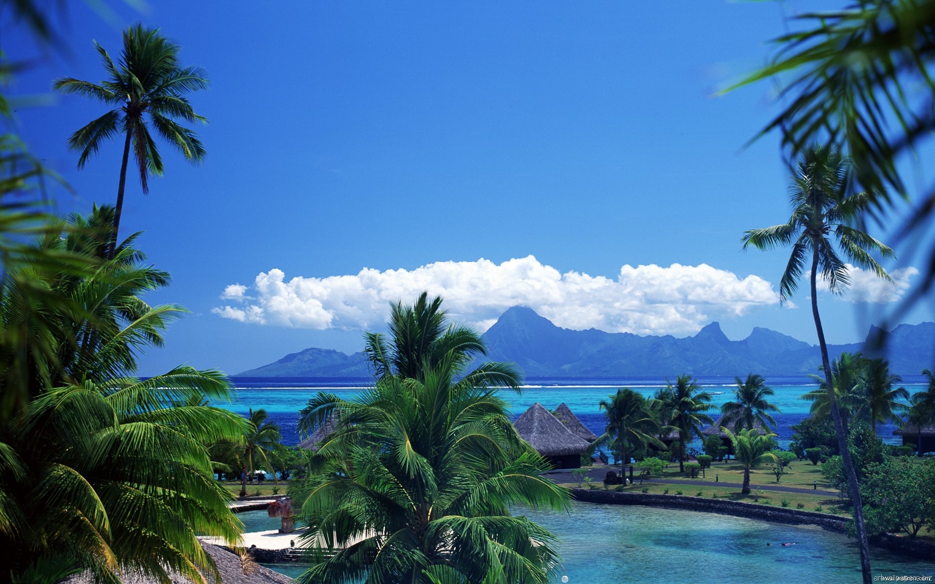 Pics Photos HD Tahiti Desktop Wallpaper