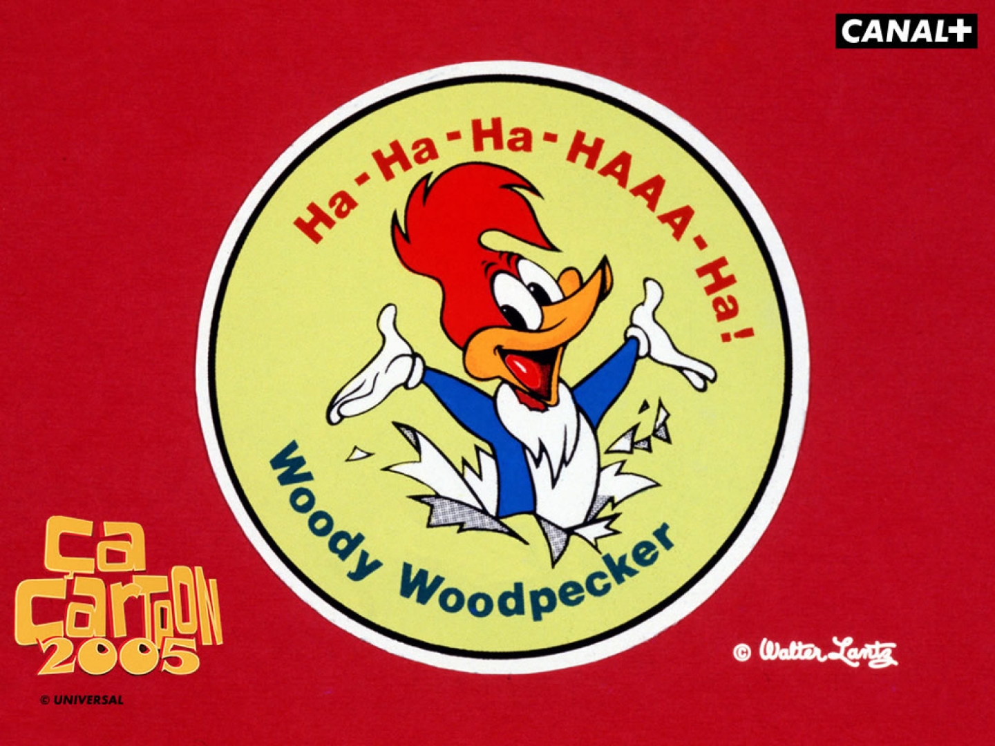 Woody Woodpecker HD Wallpaper Background Image